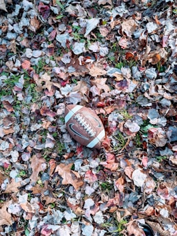 A football rests on a ground covered with dry, multicolored autumn leaves. The mix of leaves creates a textured and colorful background, with hints of green grass peeking through.