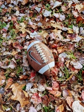 A vintage football helmet resting on a field with autumn leaves around.