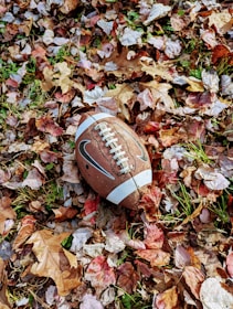 A vintage football helmet resting on a field with autumn leaves around.