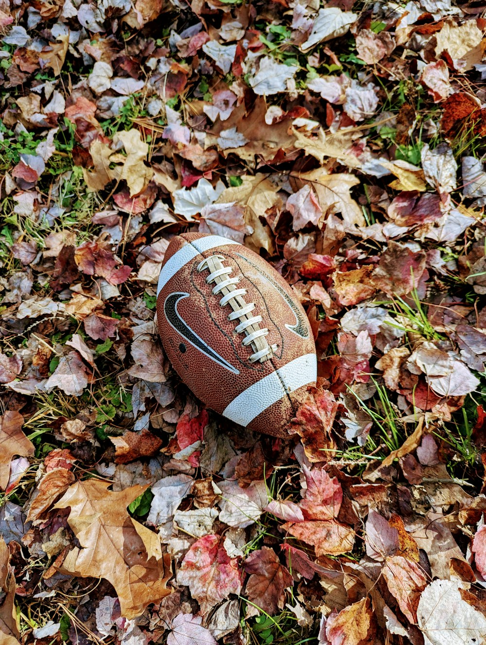 a football laying on top of a pile of leaves