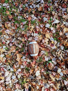 a football laying on top of a pile of leaves