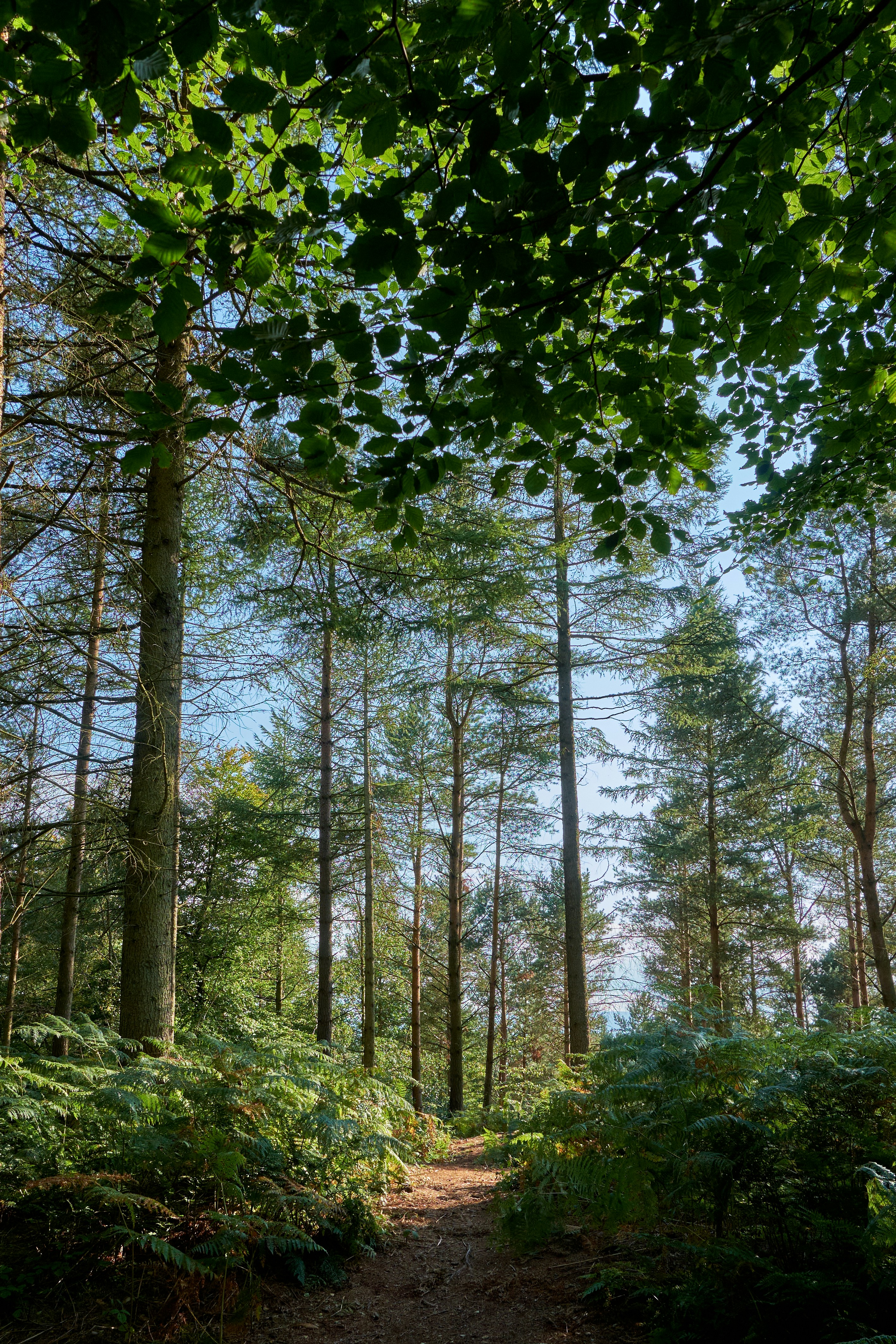 Photo by frostroomhead