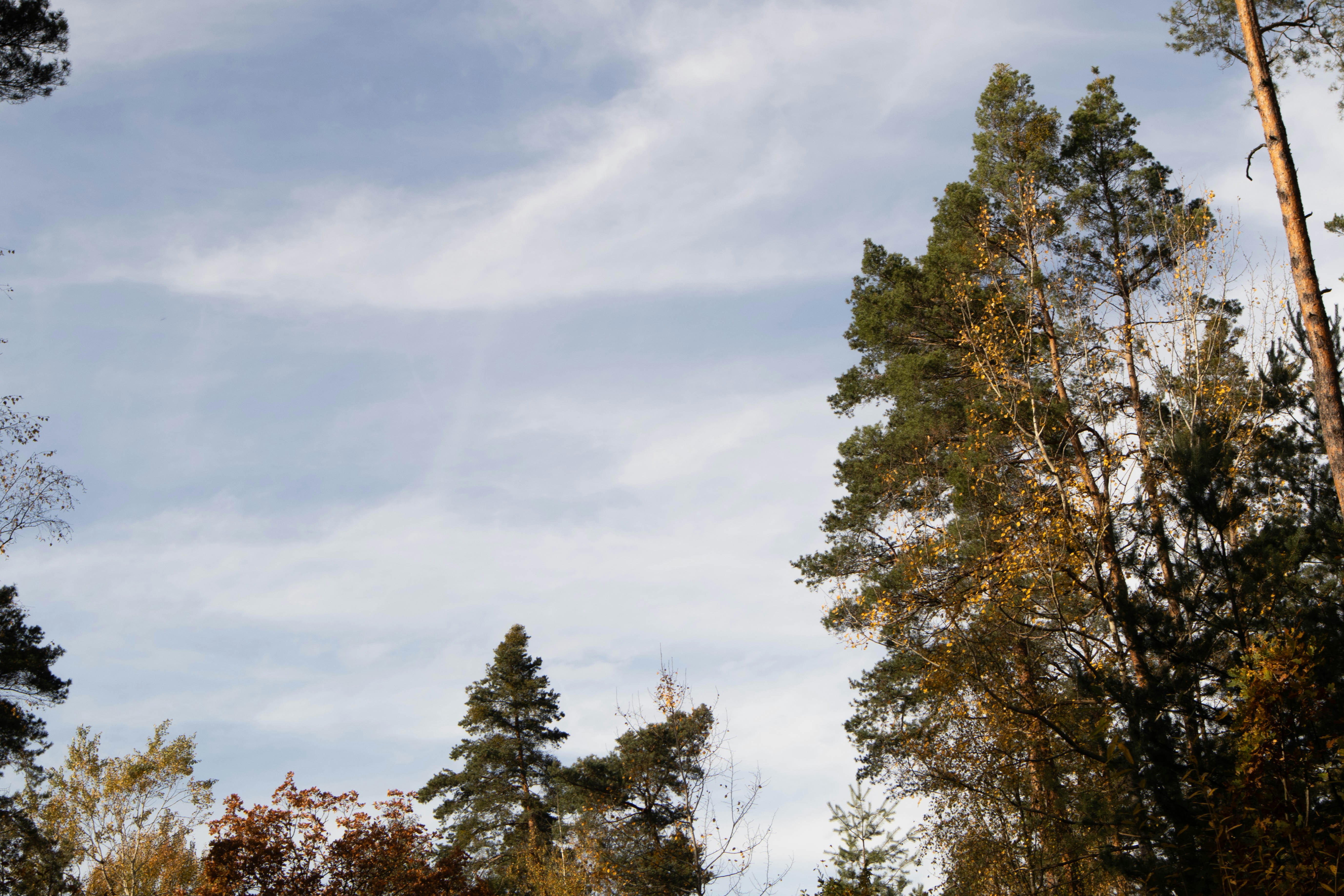 Photo by marko_lengyel