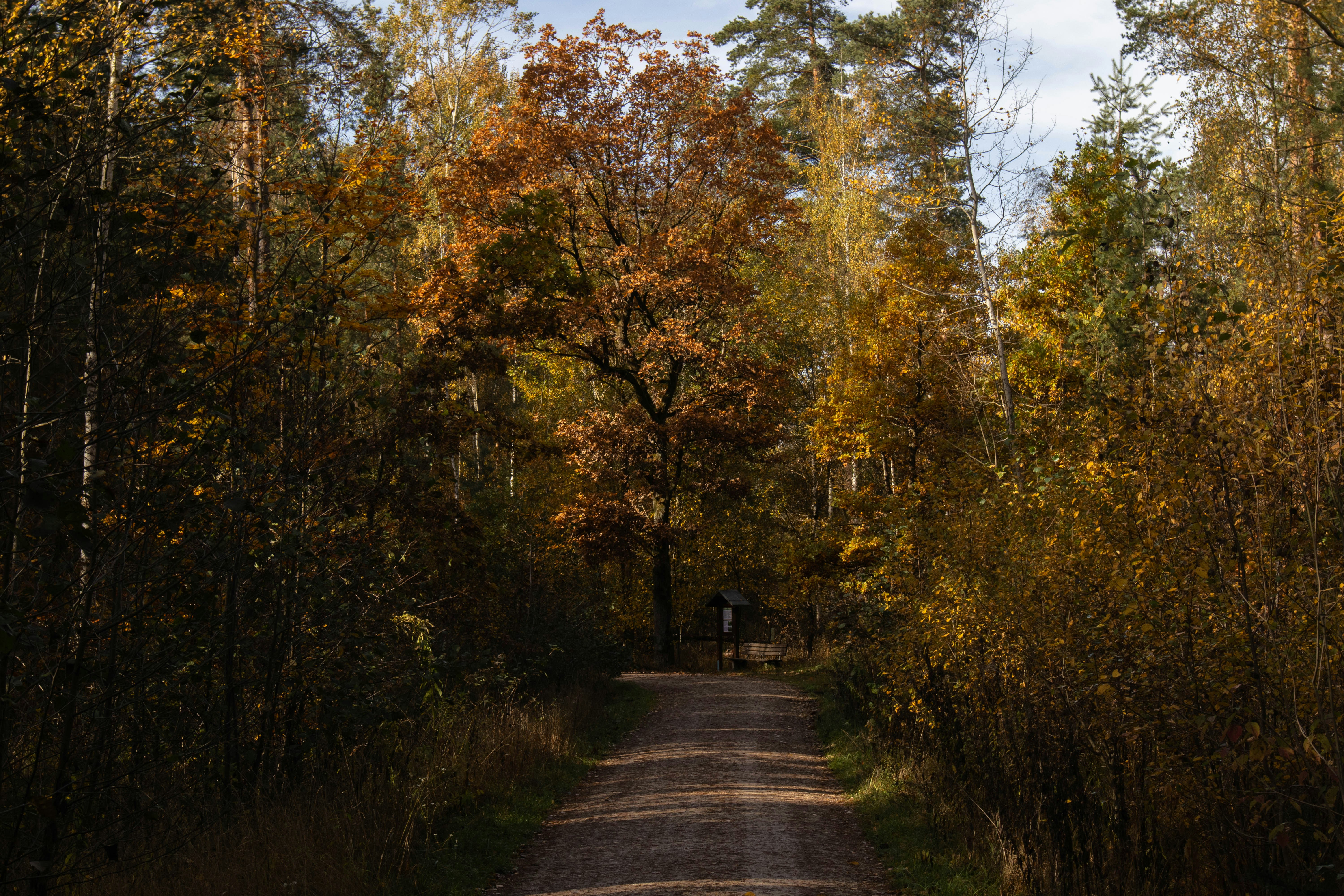 Photo by marko_lengyel