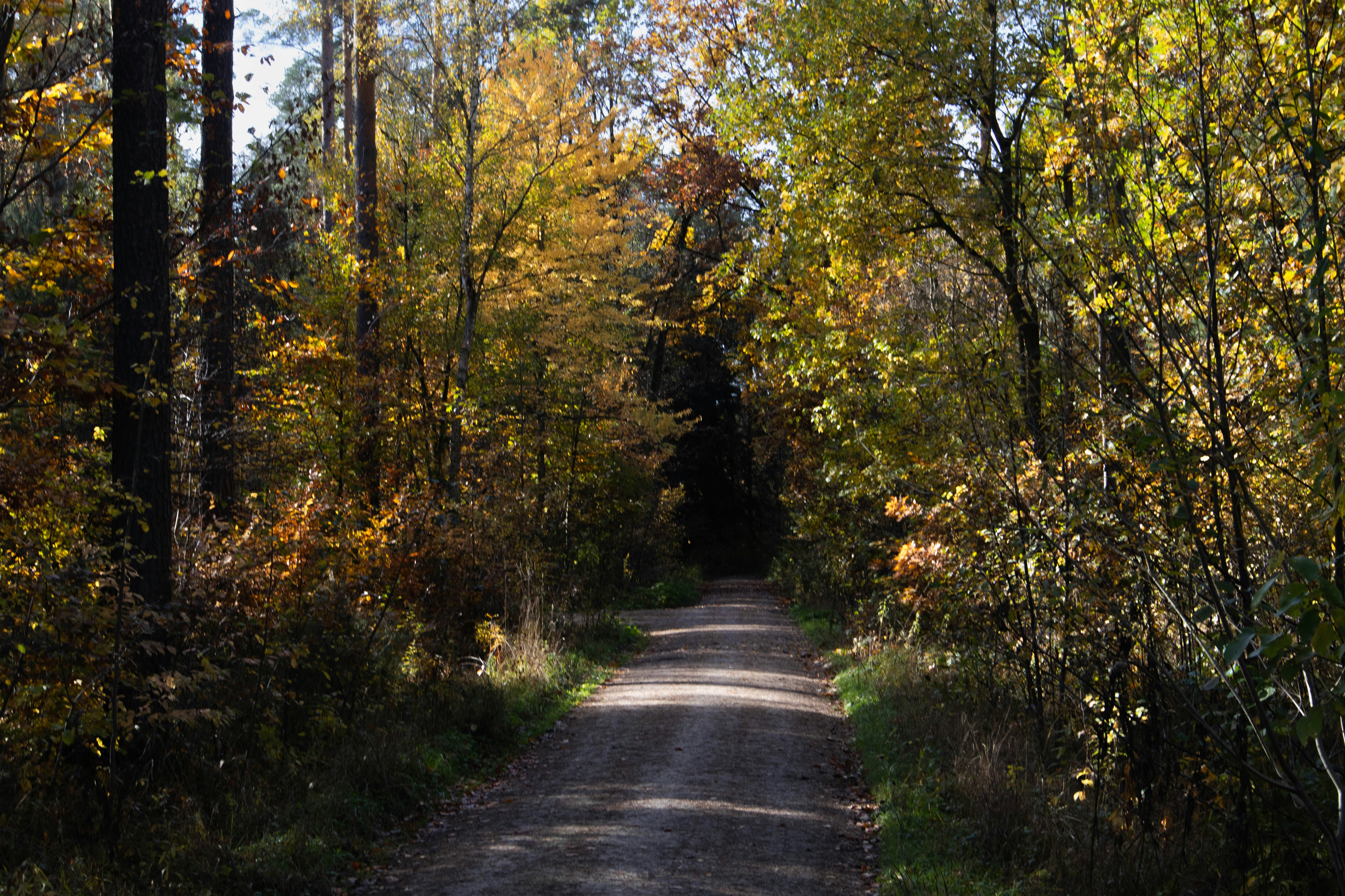 Photo by marko_lengyel