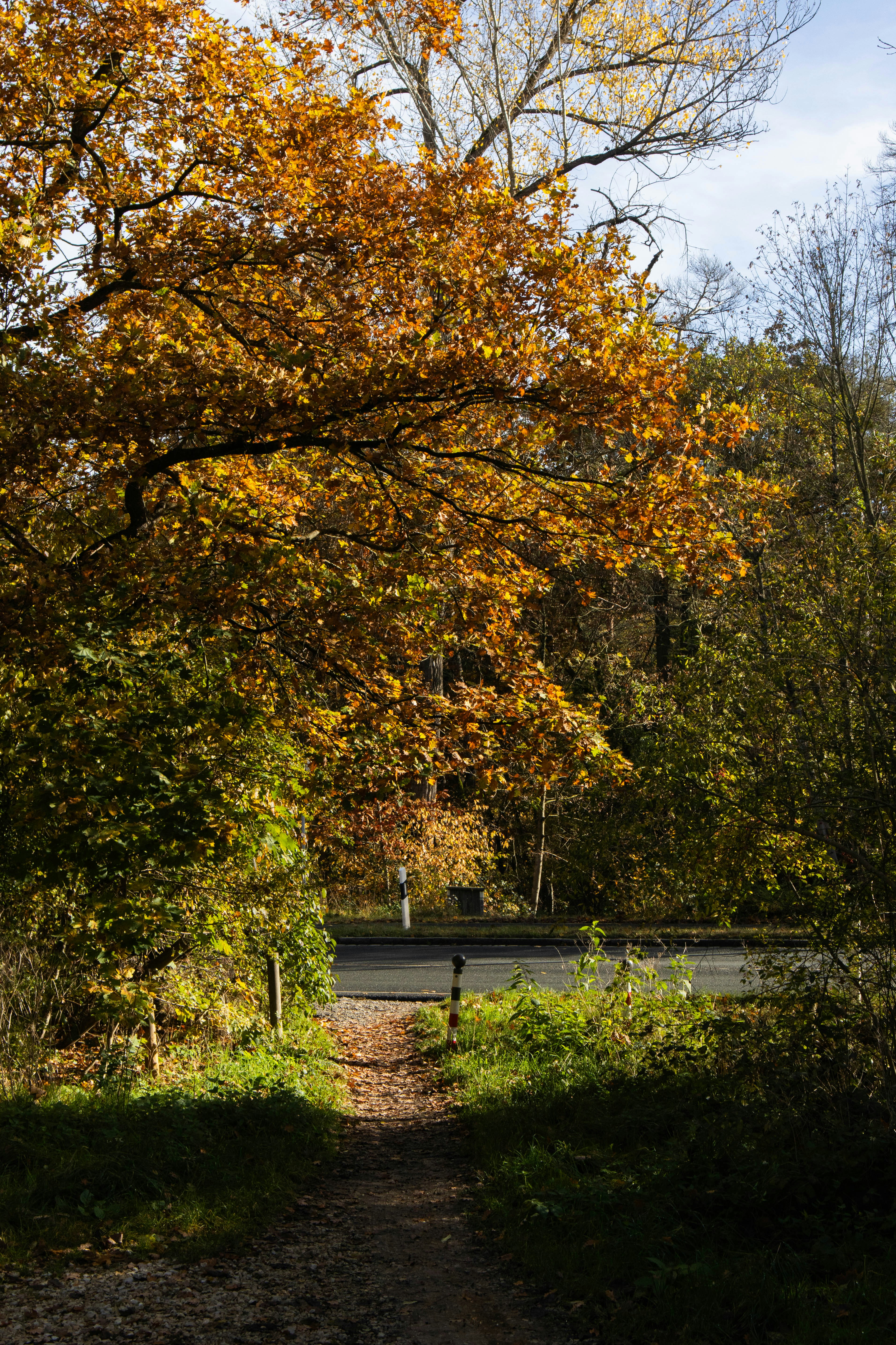 Photo by marko_lengyel