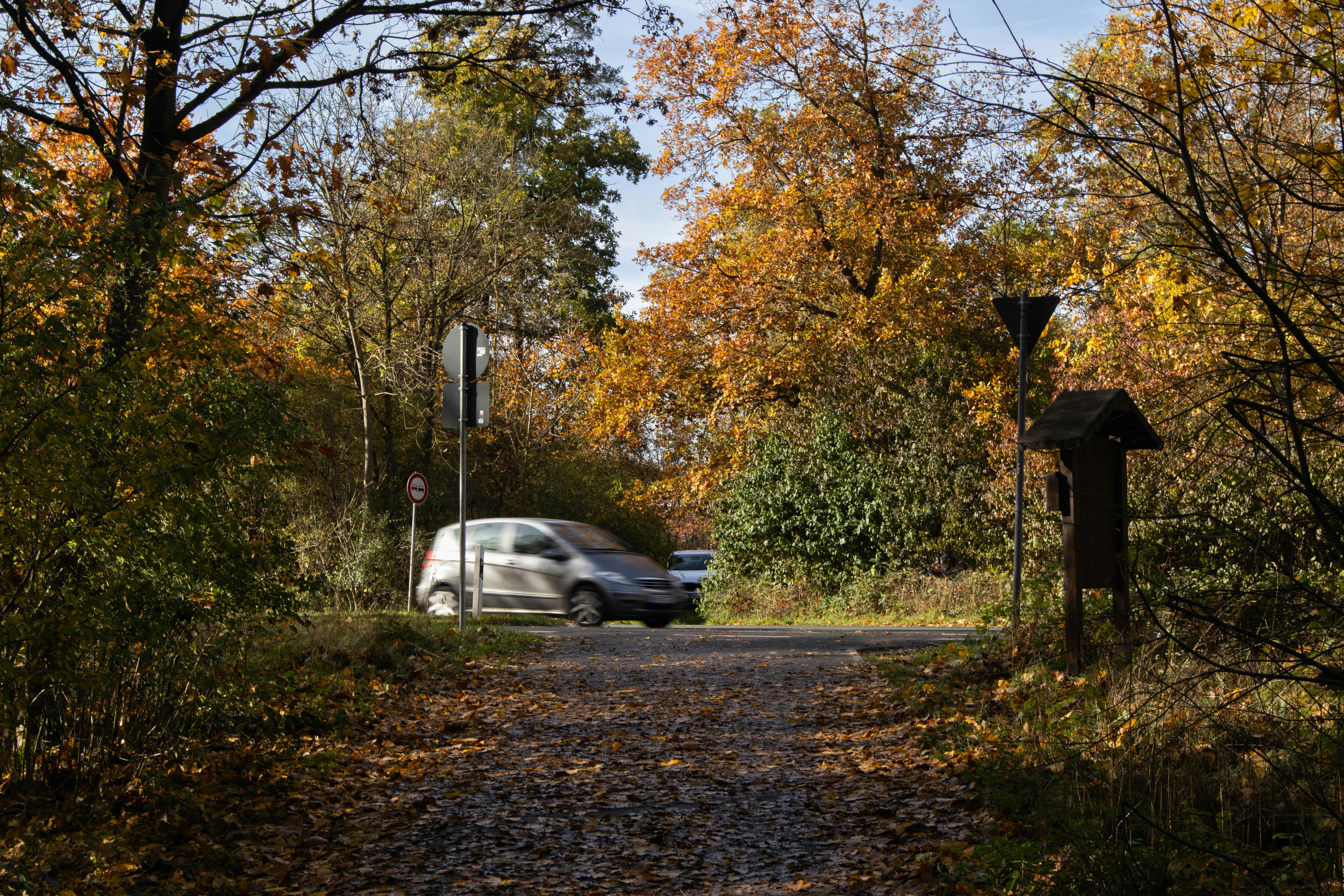 Photo by marko_lengyel