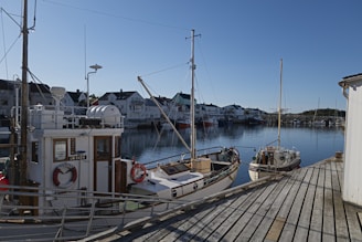 A serene harbor with various boats docked at the pier.