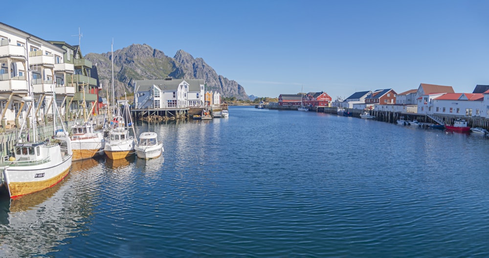 a group of boats are docked in the water