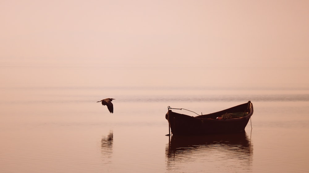 a bird flying over a boat in the water