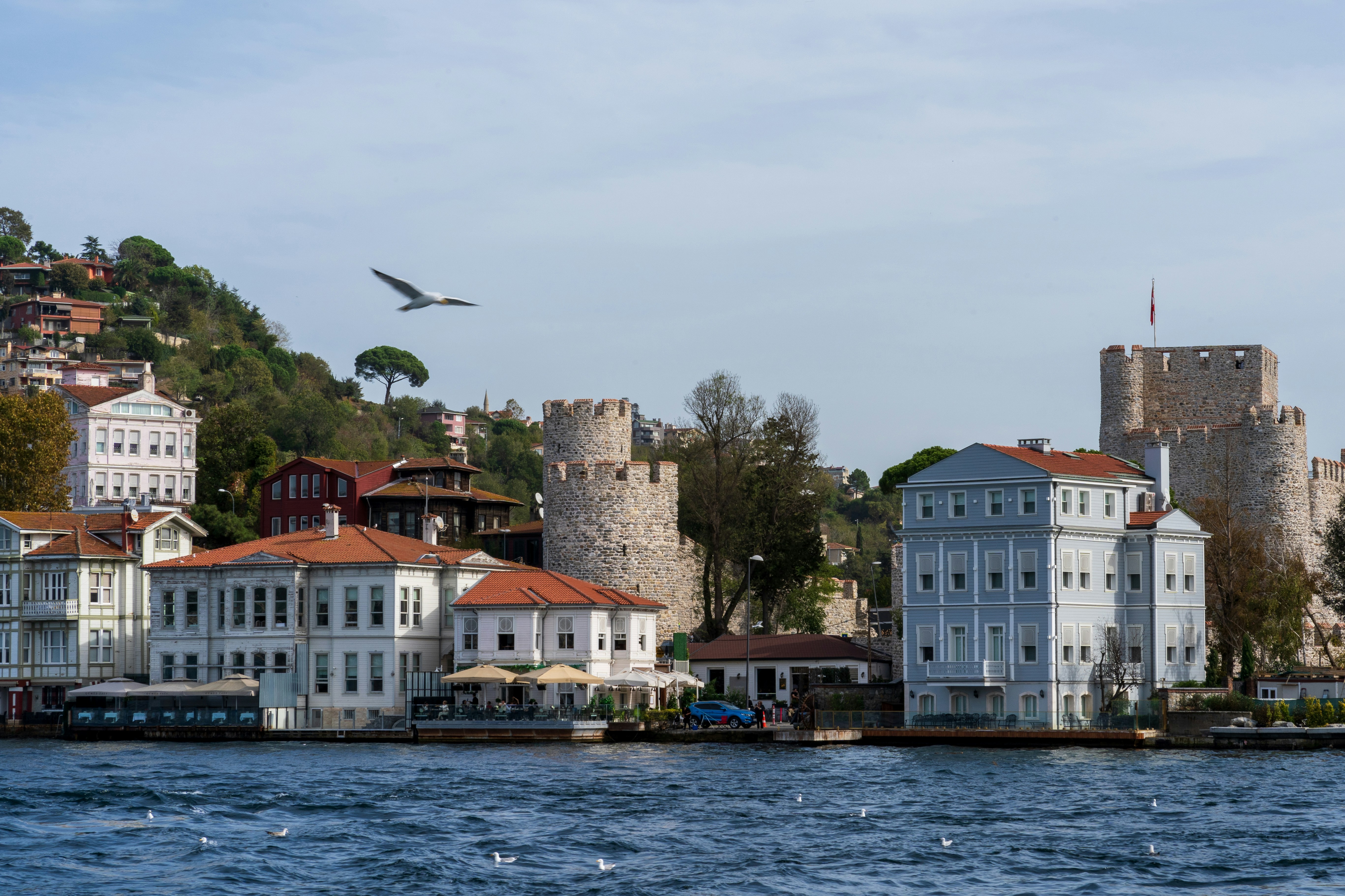 ein Vogel, der über ein Gewässer fliegt