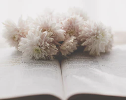 a close up of a book with flowers on it