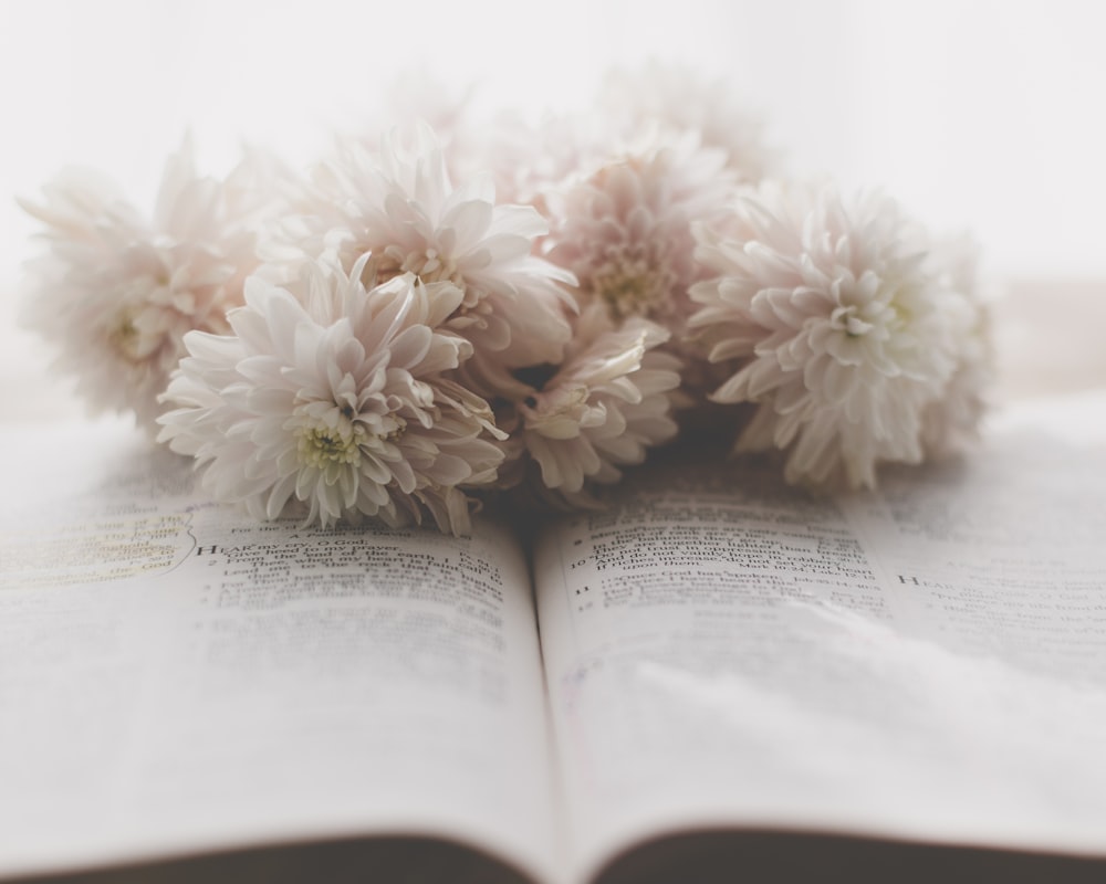 a close up of a book with flowers on it