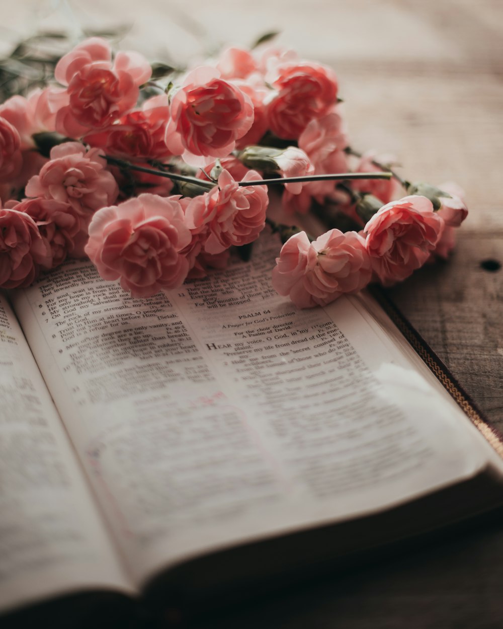 a bunch of pink flowers sitting on top of an open book