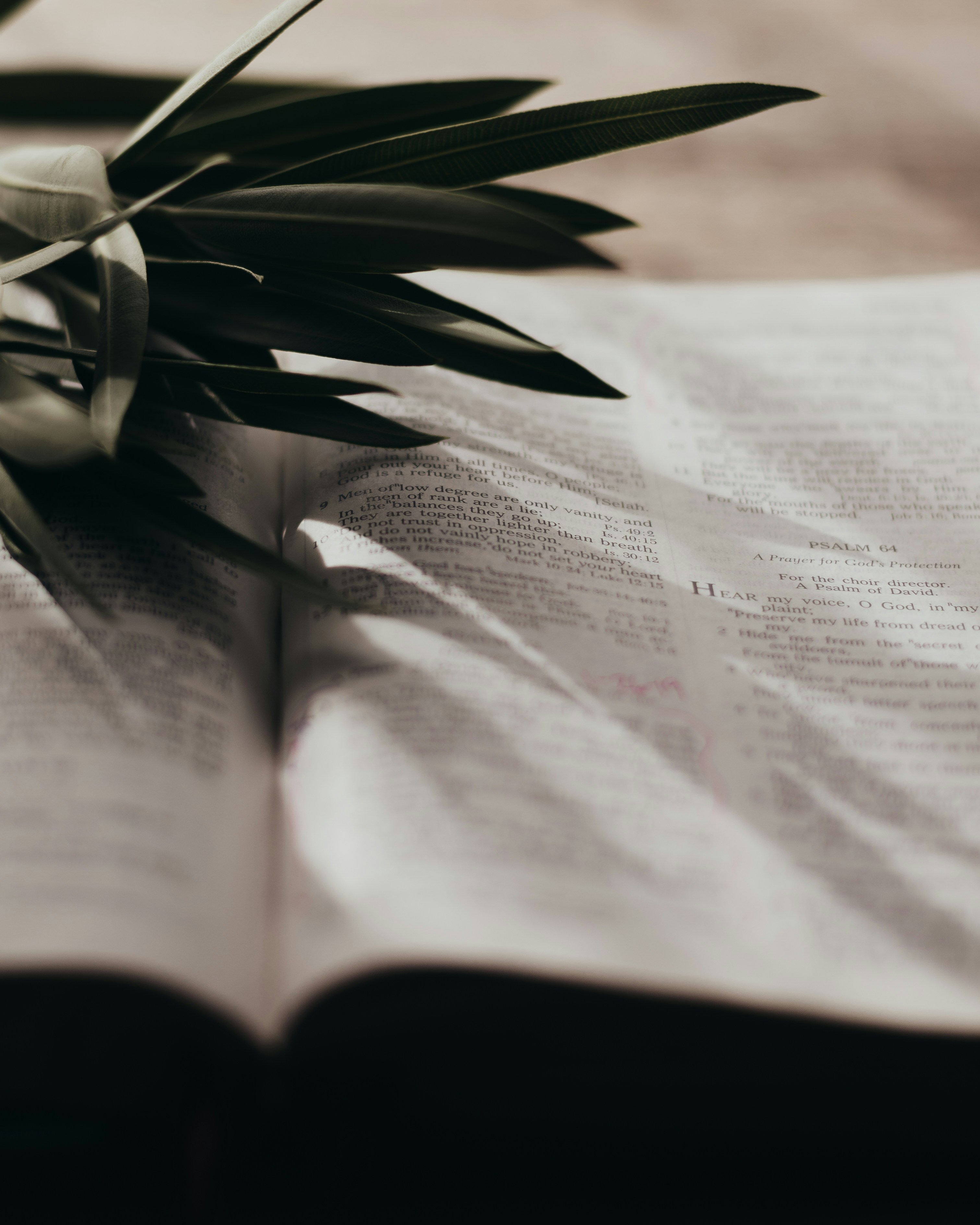 Photo by sixteenmilesout