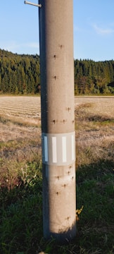 A concrete utility pole stands in a grassy field with a background of dense trees. The pole is adorned with a grid of reflective strips and several dragonflies are perched on its surface. The field appears recently harvested, adding a sense of openness and tranquility to the scene.