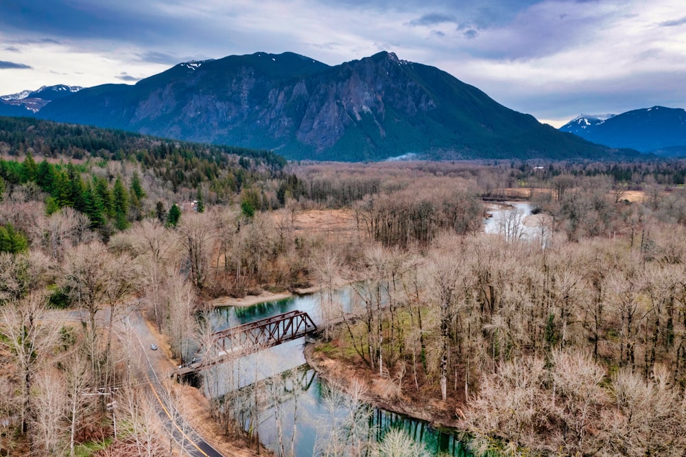 a train crossing a bridge over a river