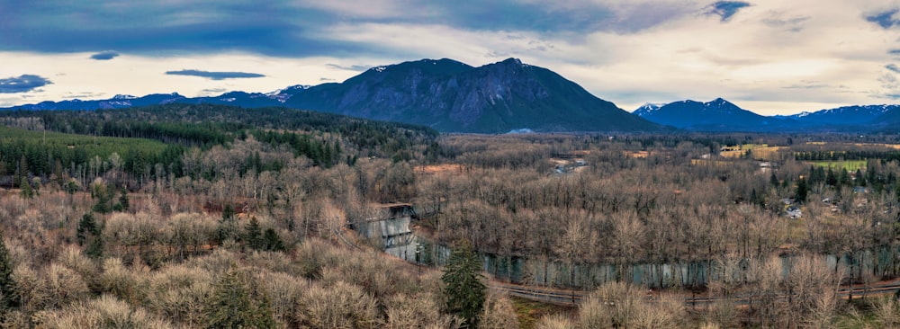 a scenic view of a forest with mountains in the background