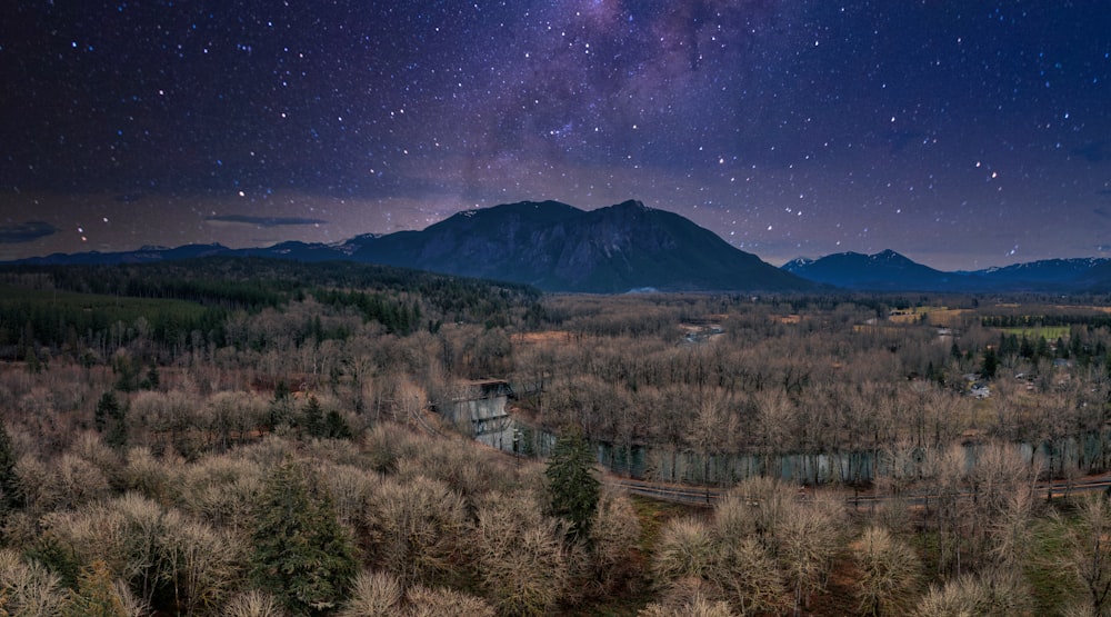 une vue du ciel nocturne au-dessus d’une forêt