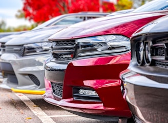 A lineup of modern muscle cars, focused on the front grilles and headlights. The cars are parked in an outdoor setting with vibrant red autumn foliage in the background, adding a contrasting touch to the sleek car finishes.