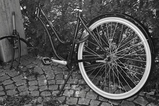 A disassembled bicycle is leaning against a wall and hedge. The frame is still intact, but the front wheel and handlebars are detached and placed next to it. The scene is set on a paved cobblestone surface, and the overall mood suggests neglect or vandalism.