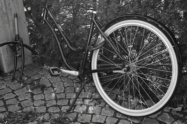 A disassembled bicycle is leaning against a wall and hedge. The frame is still intact, but the front wheel and handlebars are detached and placed next to it. The scene is set on a paved cobblestone surface, and the overall mood suggests neglect or vandalism.