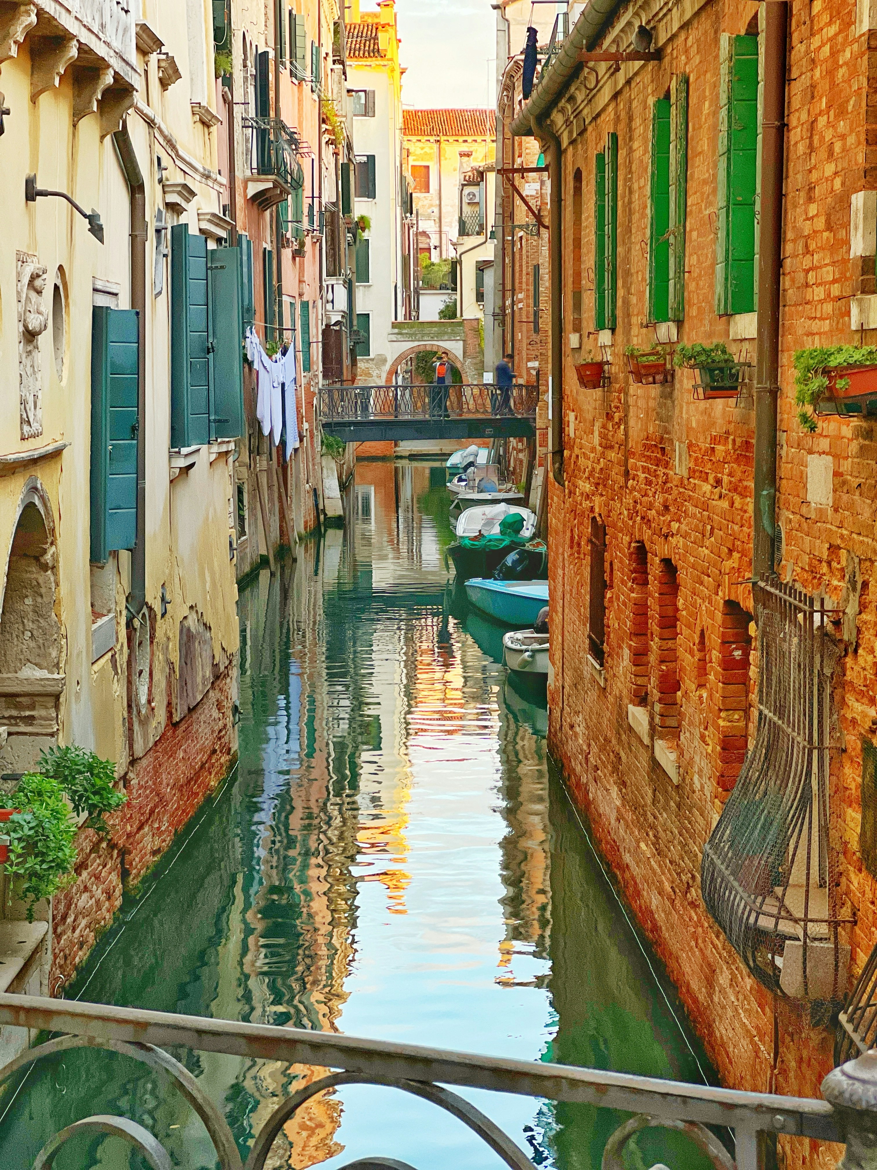 Photo by knuckles_echidna