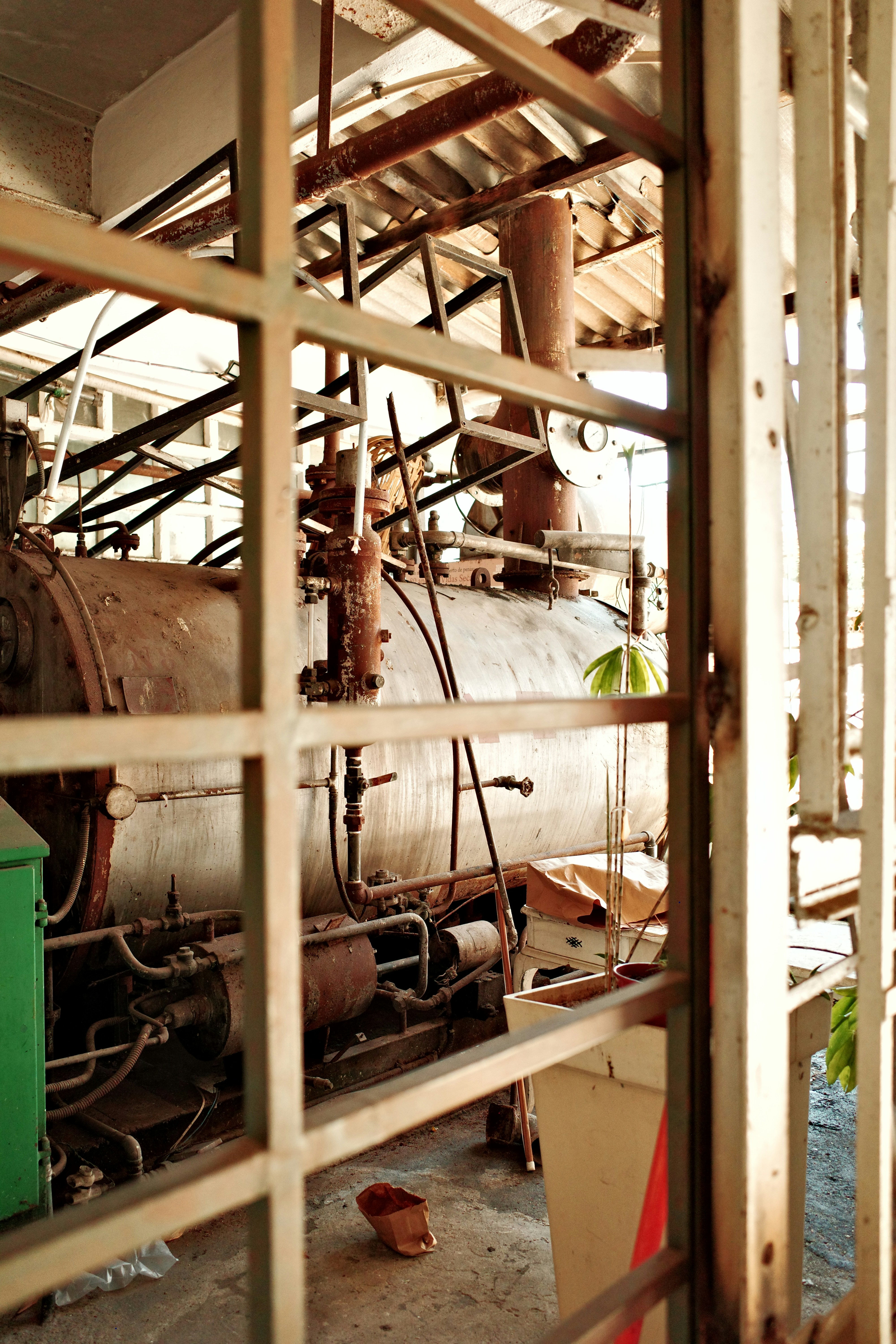 Photo by higumarques