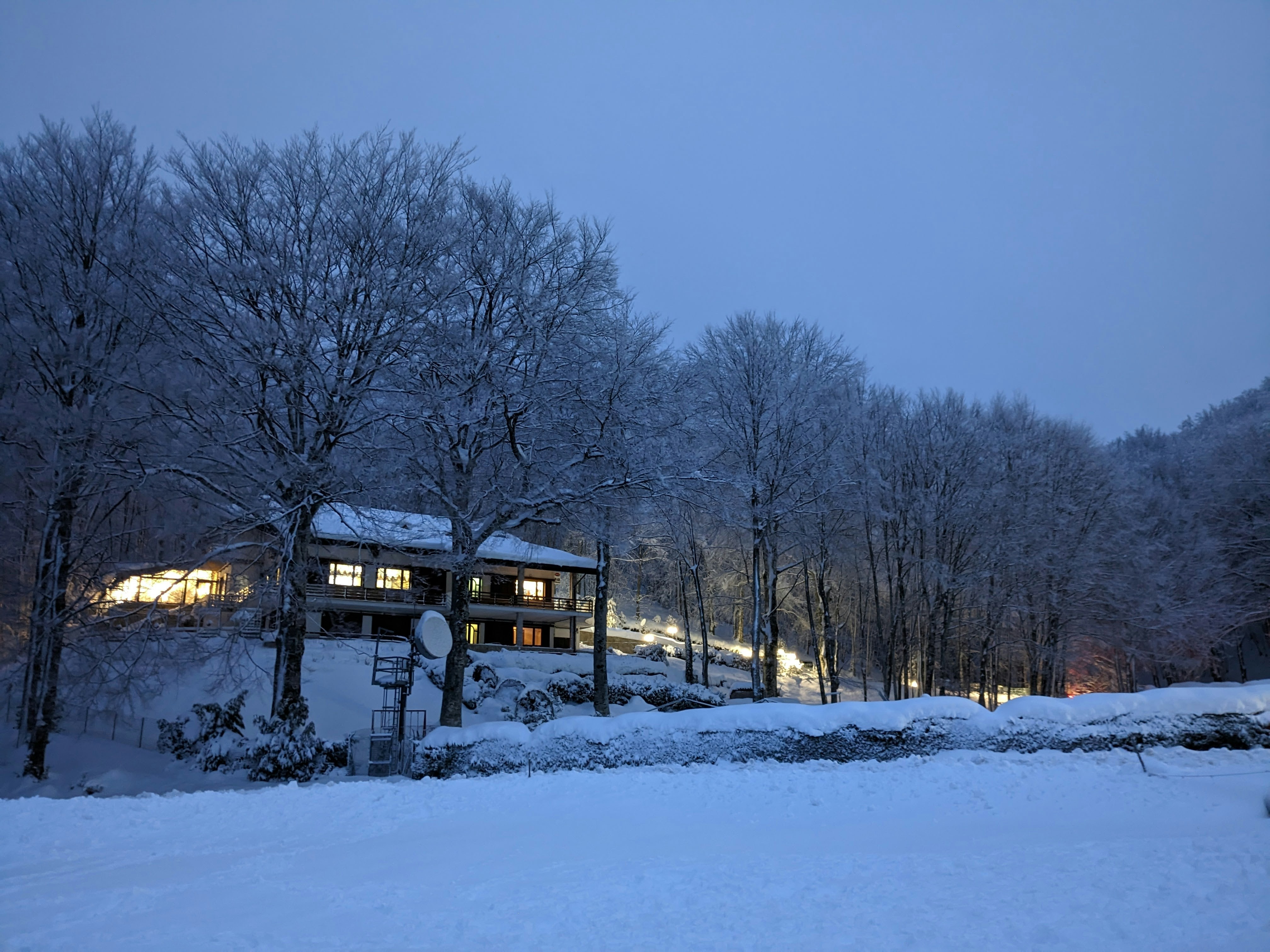 A cabin in the middle of a snowy forest photo – Free Snow Image on Unsplash