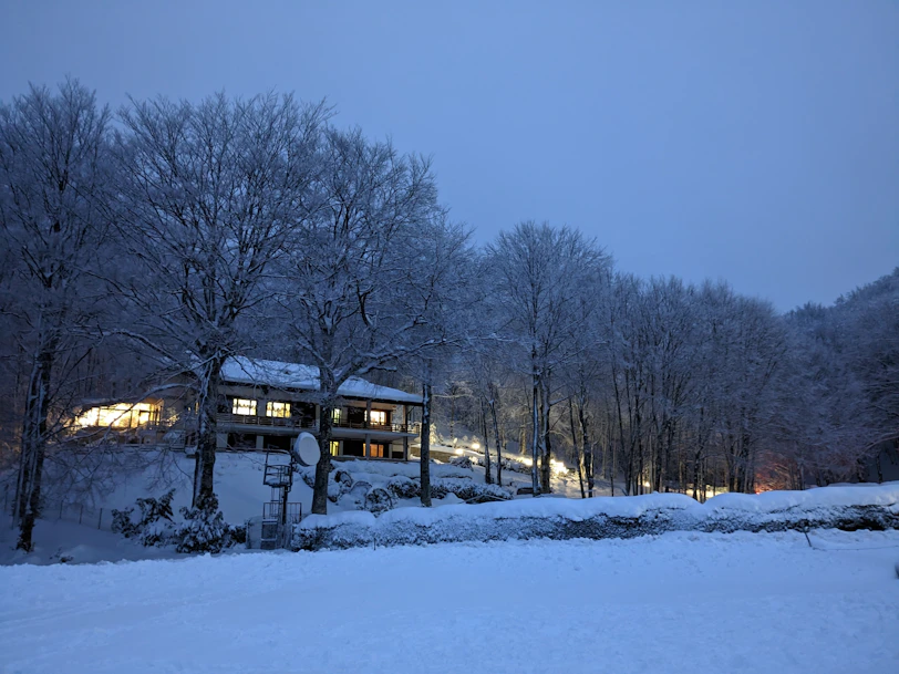 a cabin in the middle of a snowy forest