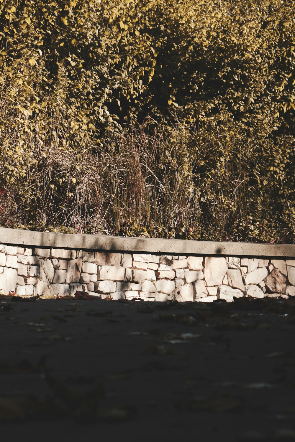 a man riding a skateboard down a stone wall