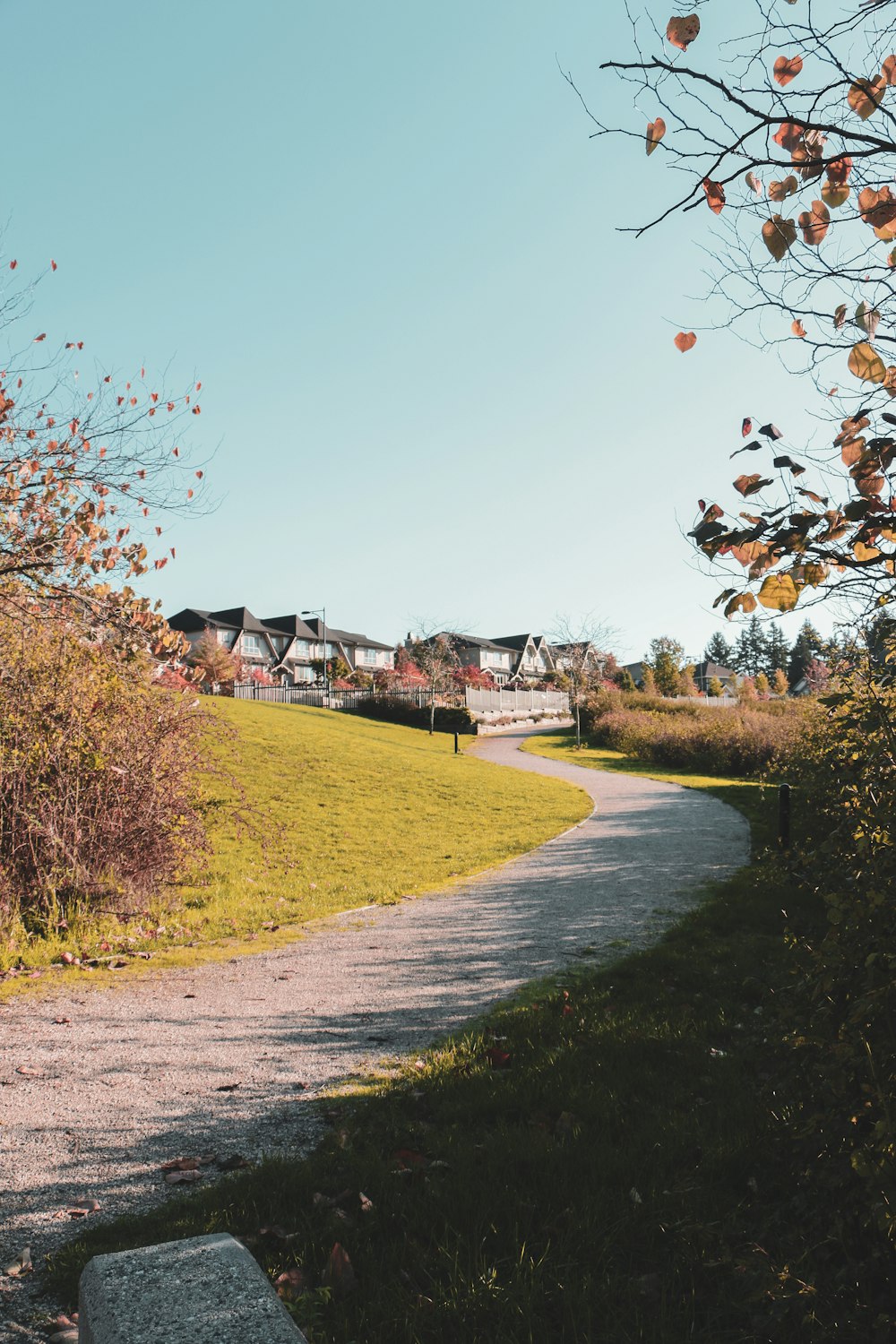 a path in the middle of a grassy field