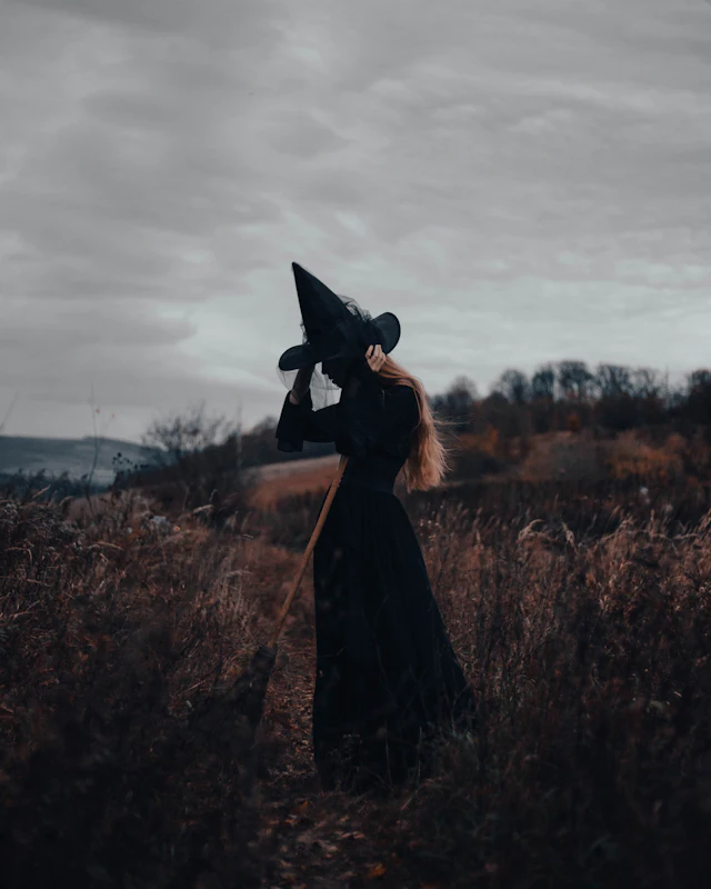 A person in a black dress and pointed hat standing in an autumn field