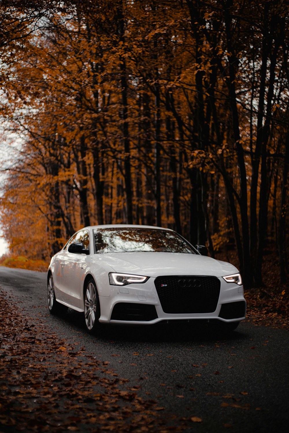 a white car driving down a road surrounded by trees