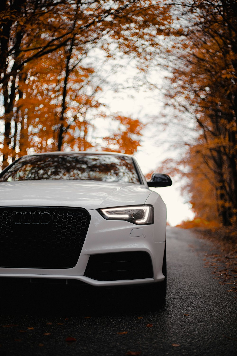 a white car parked on the side of a road