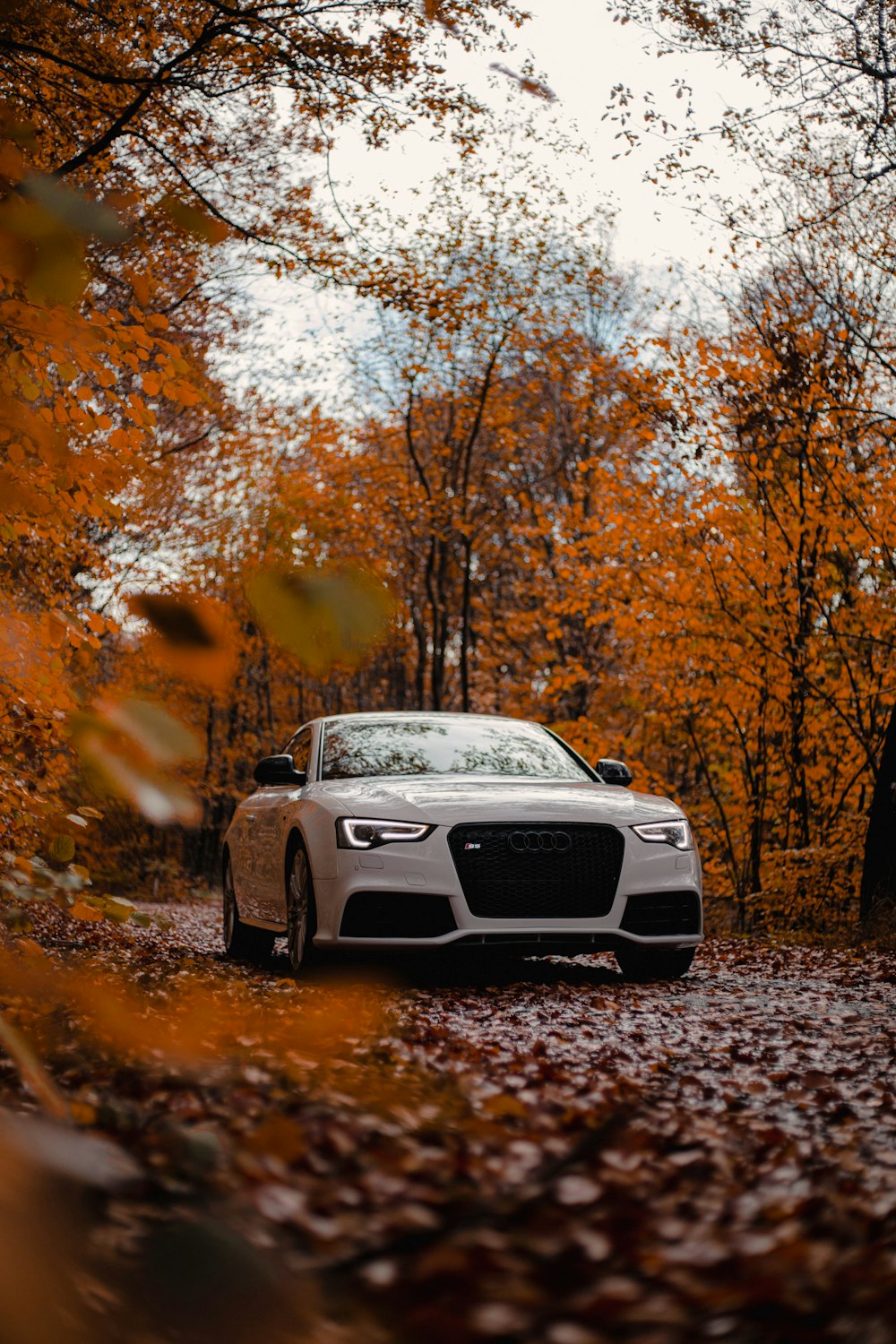 a white car parked on a leaf covered road