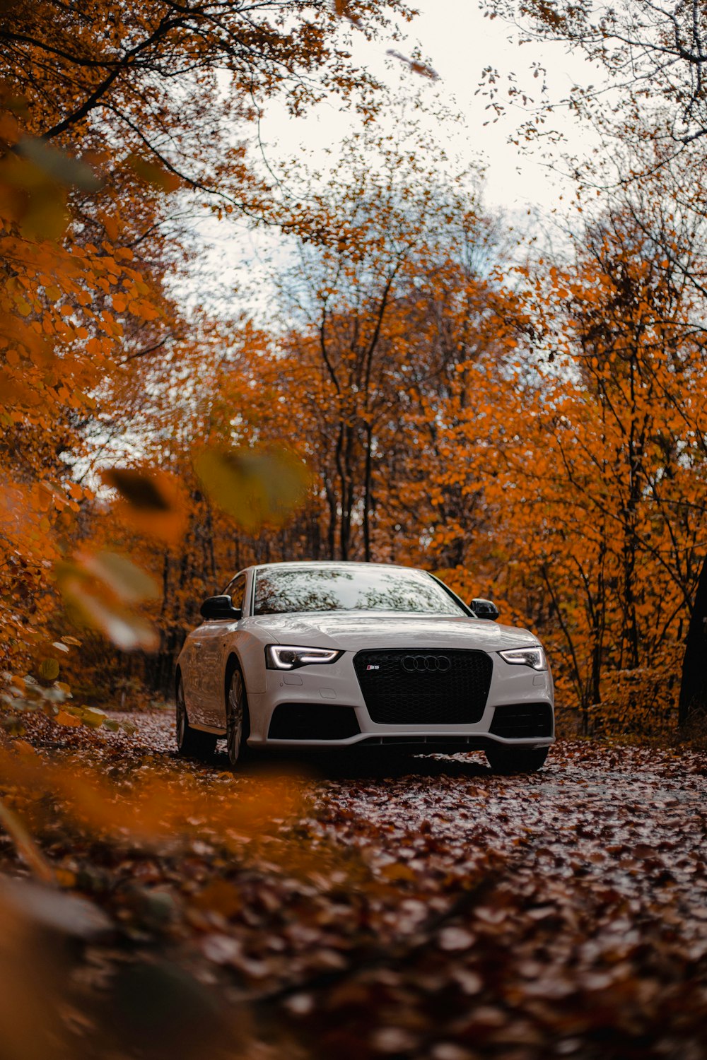 un'auto bianca parcheggiata su una strada coperta di foglie