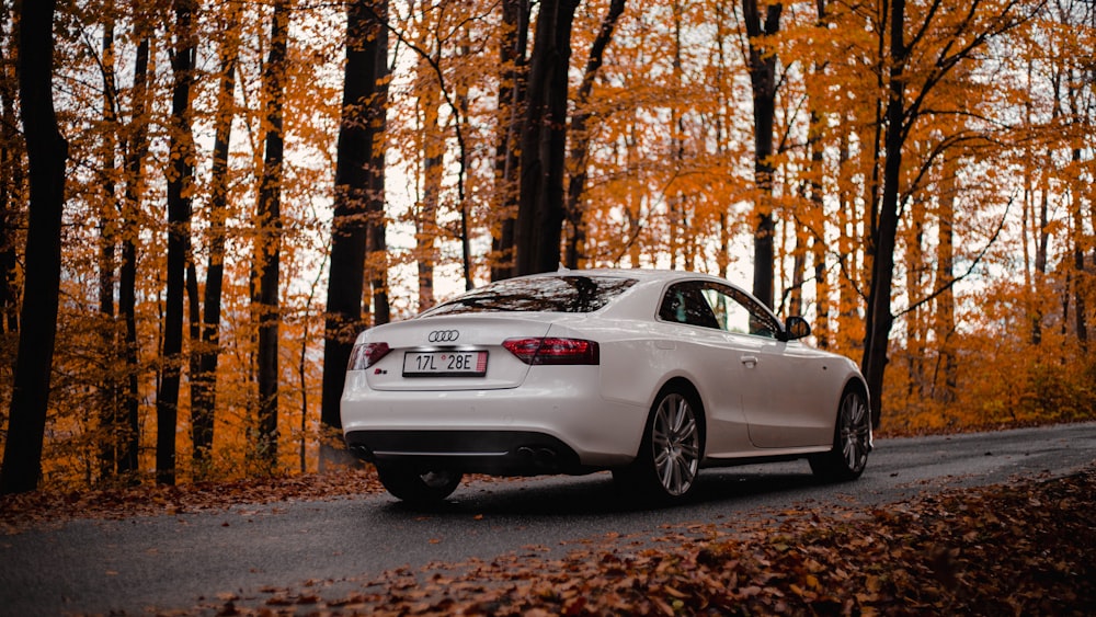 a white car driving down a tree lined road