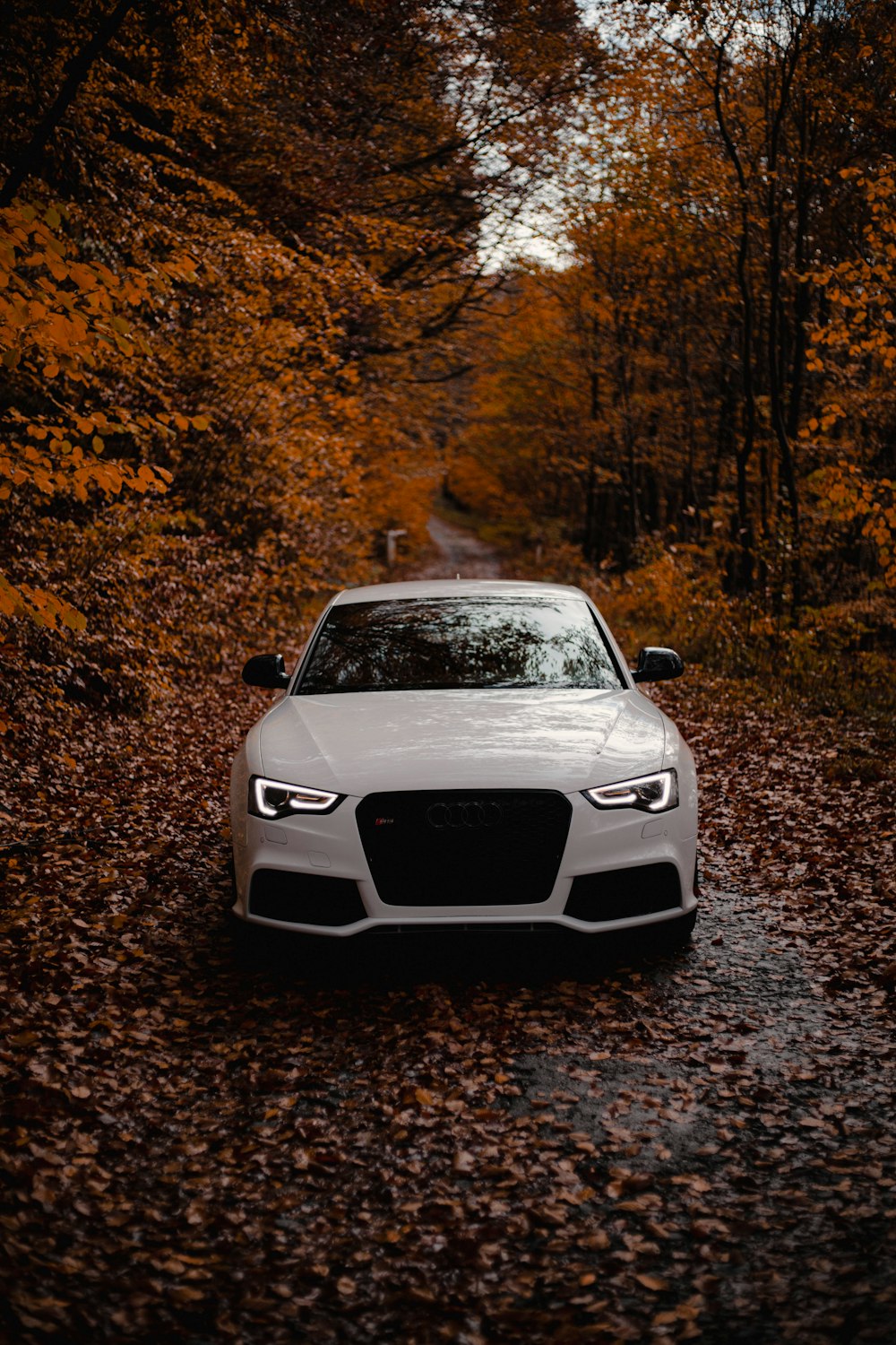 a white car driving down a road surrounded by trees