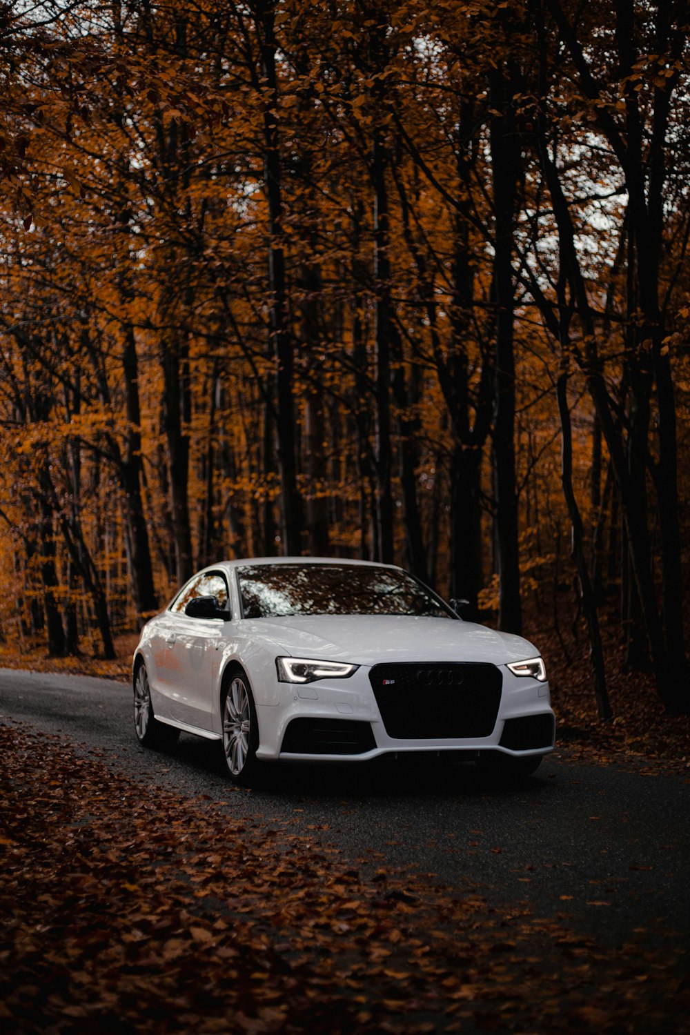 a white car driving down a tree lined road