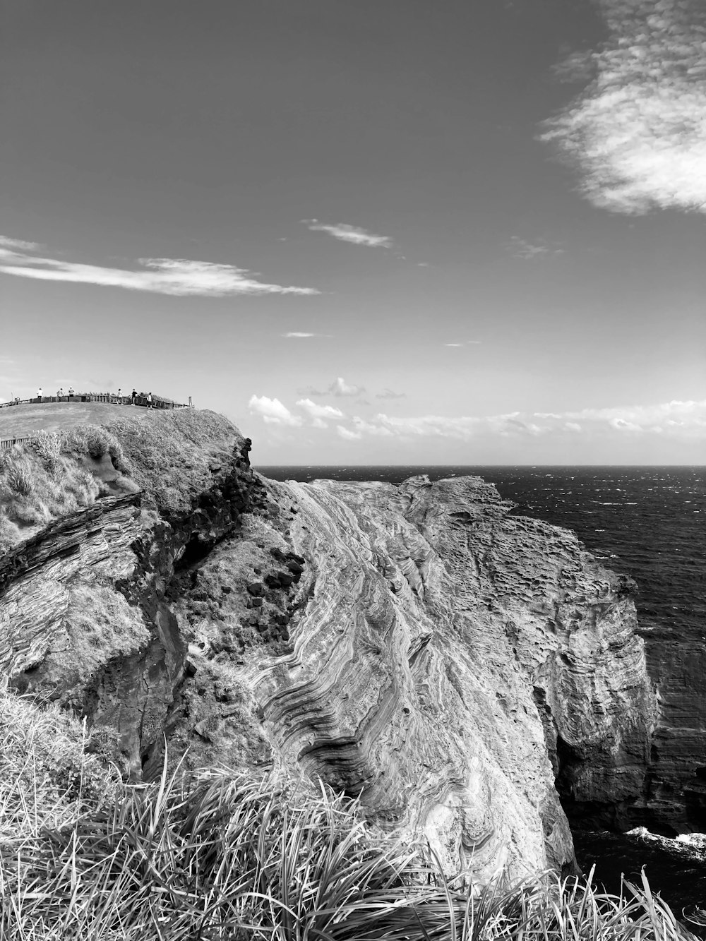 a black and white photo of a cliff overlooking the ocean
