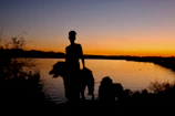 Sunset view of a paddleboard with a person and their dog silhouetted against the colorful sky.