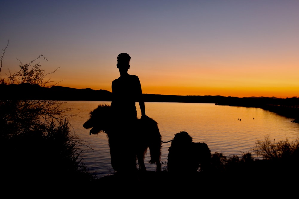 a person riding a horse next to a body of water