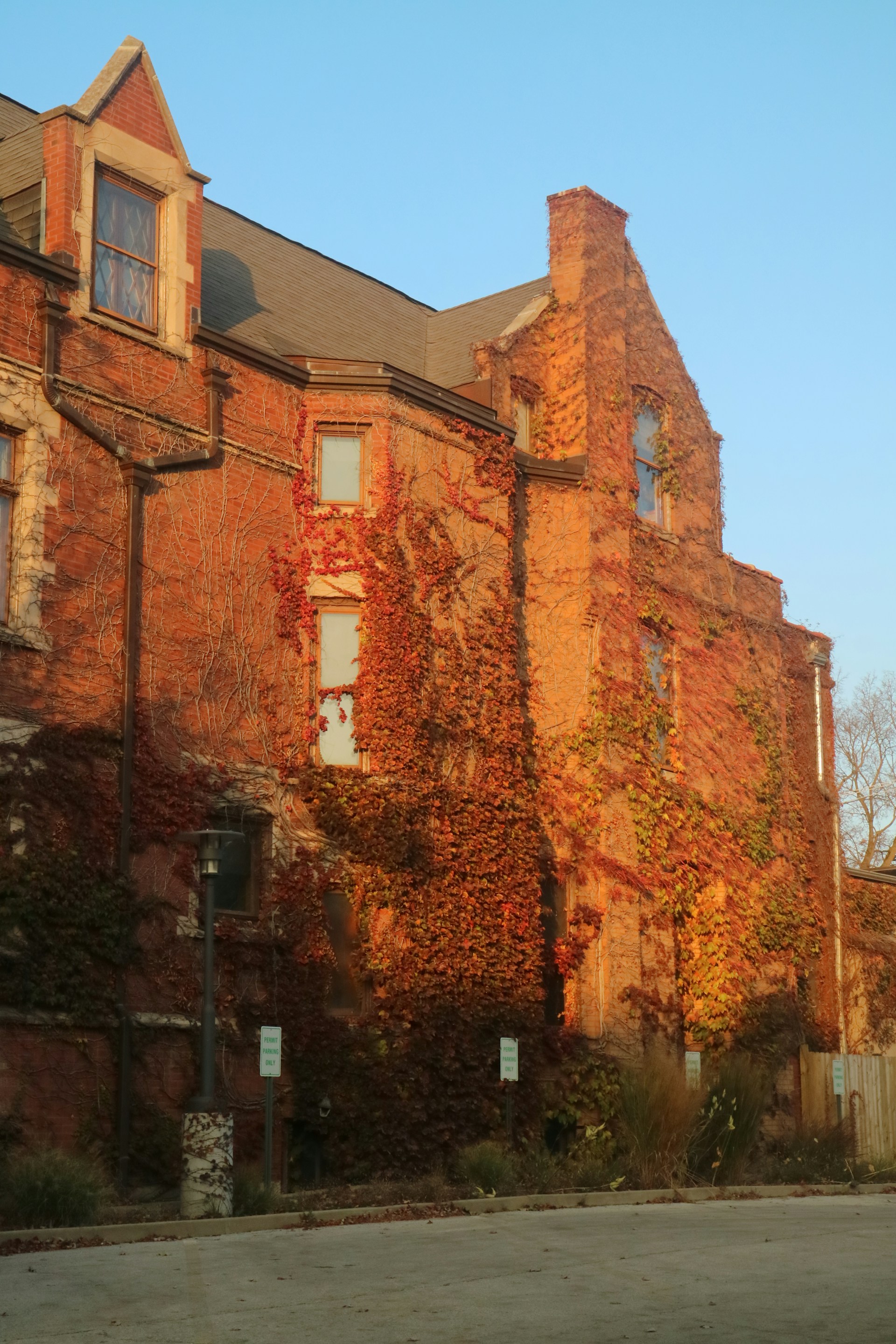 gray computer monitor