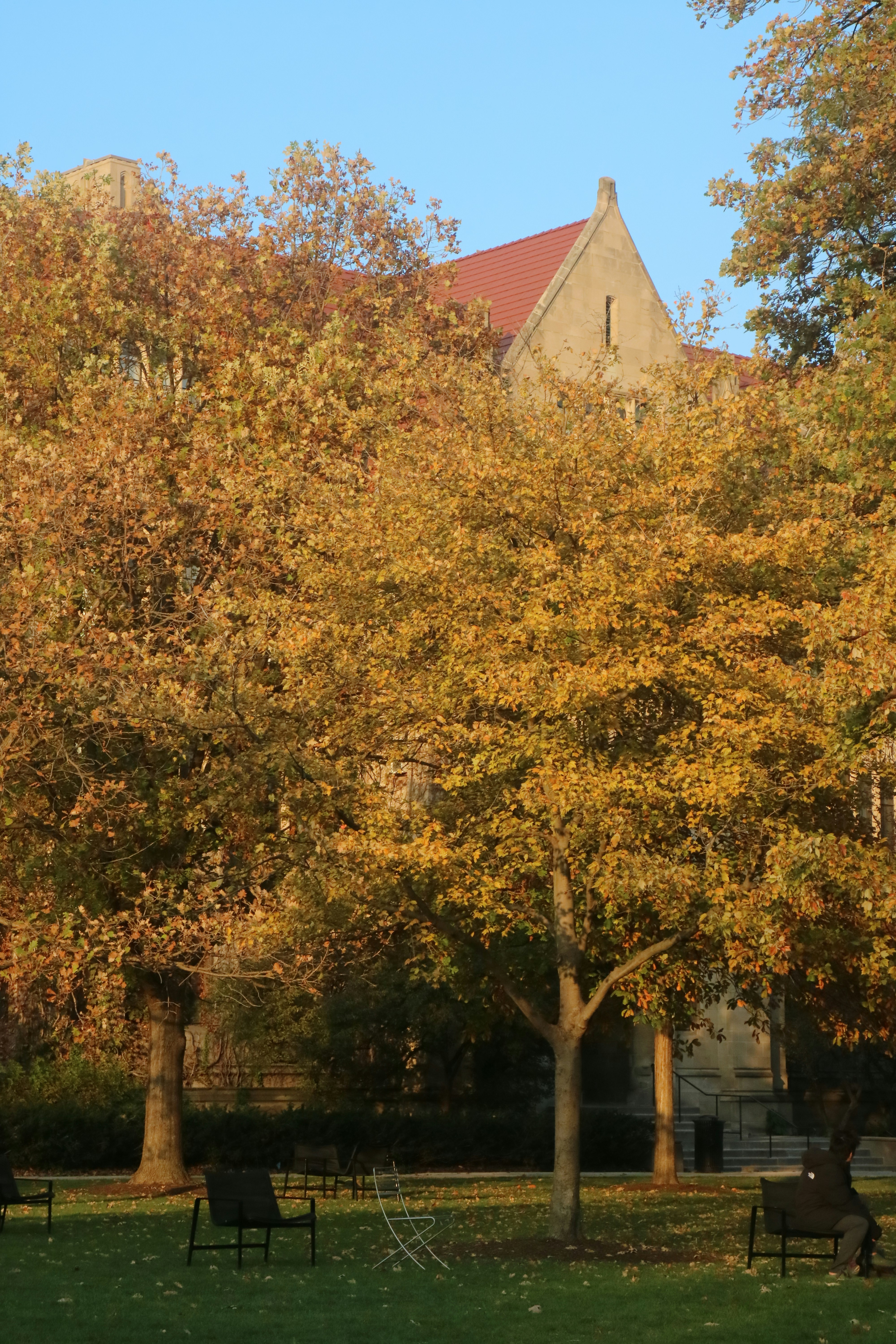 Photo by vincentyuan87