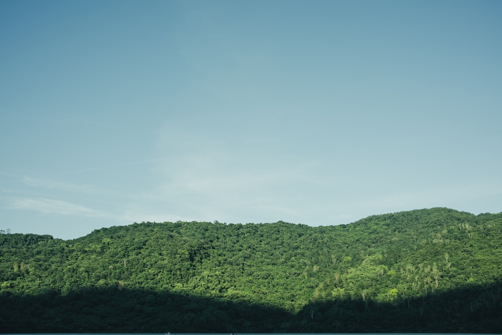 a large body of water surrounded by a lush green hillside