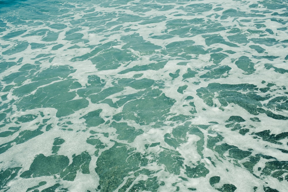 una gran masa de agua con olas que entran y salen de ella