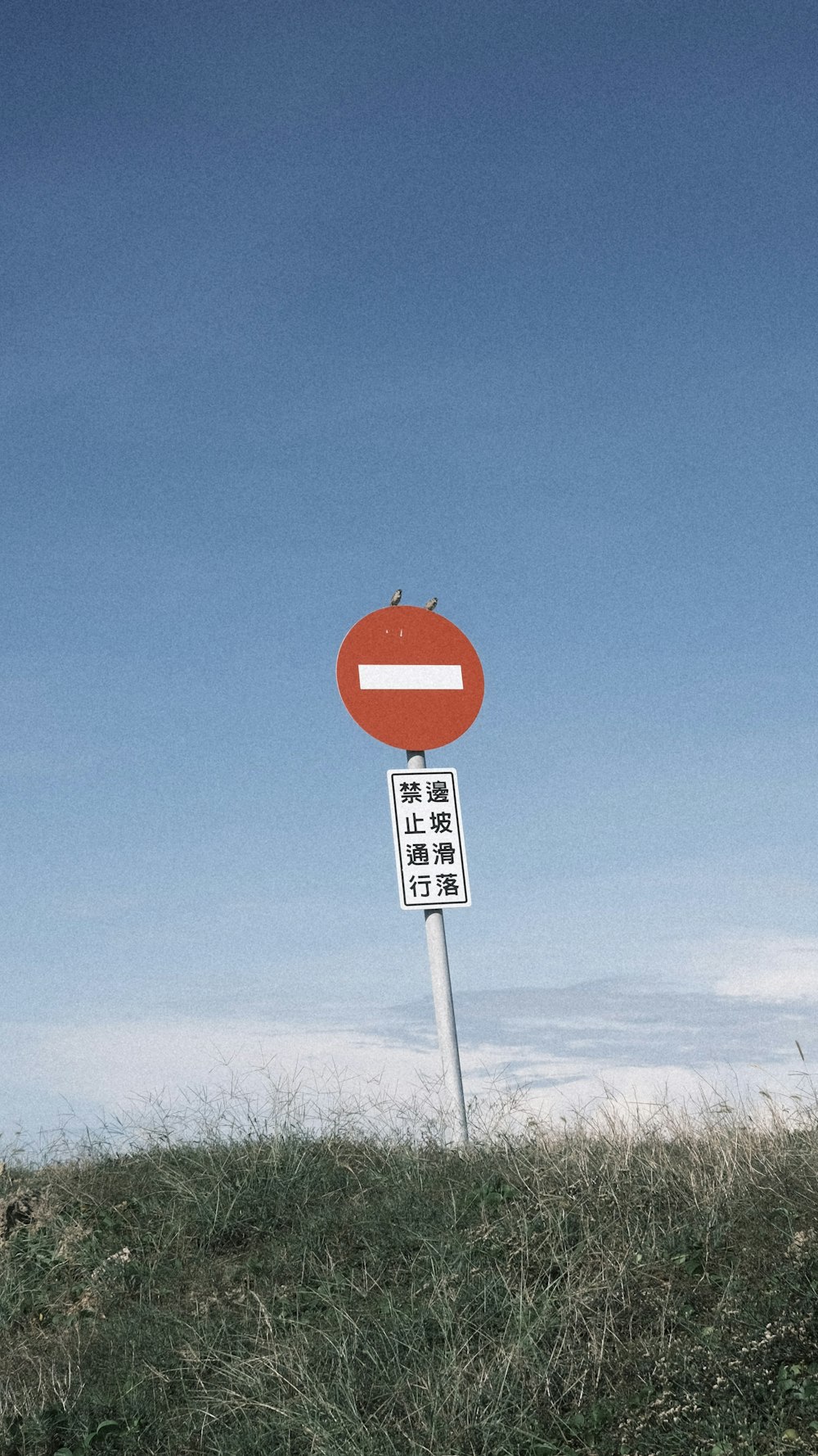 a red and white street sign sitting on top of a lush green field