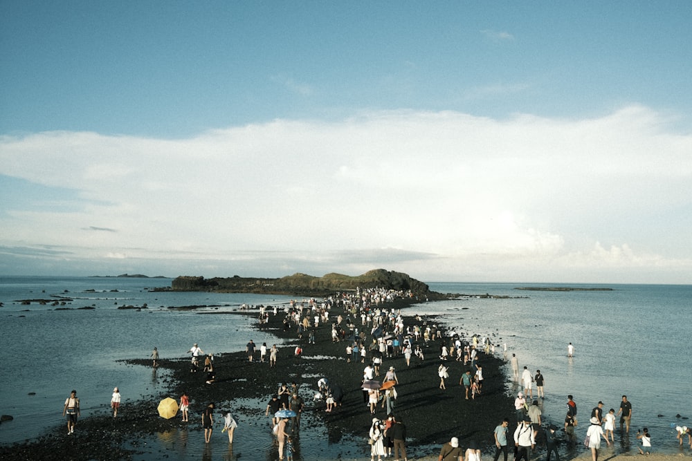 a group of people standing on top of a beach next to the ocean