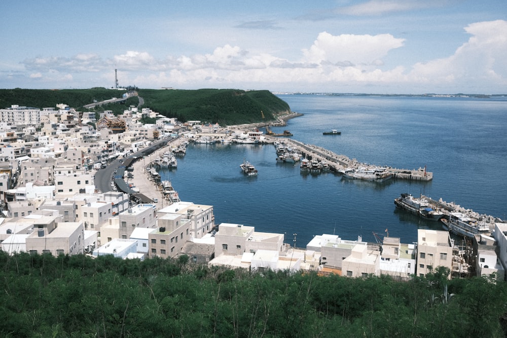 a harbor filled with lots of boats next to a lush green hillside